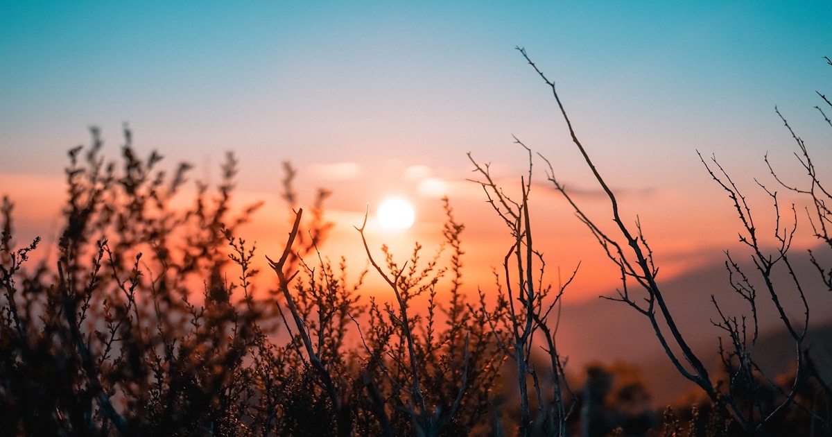 夕暮れの草原と空