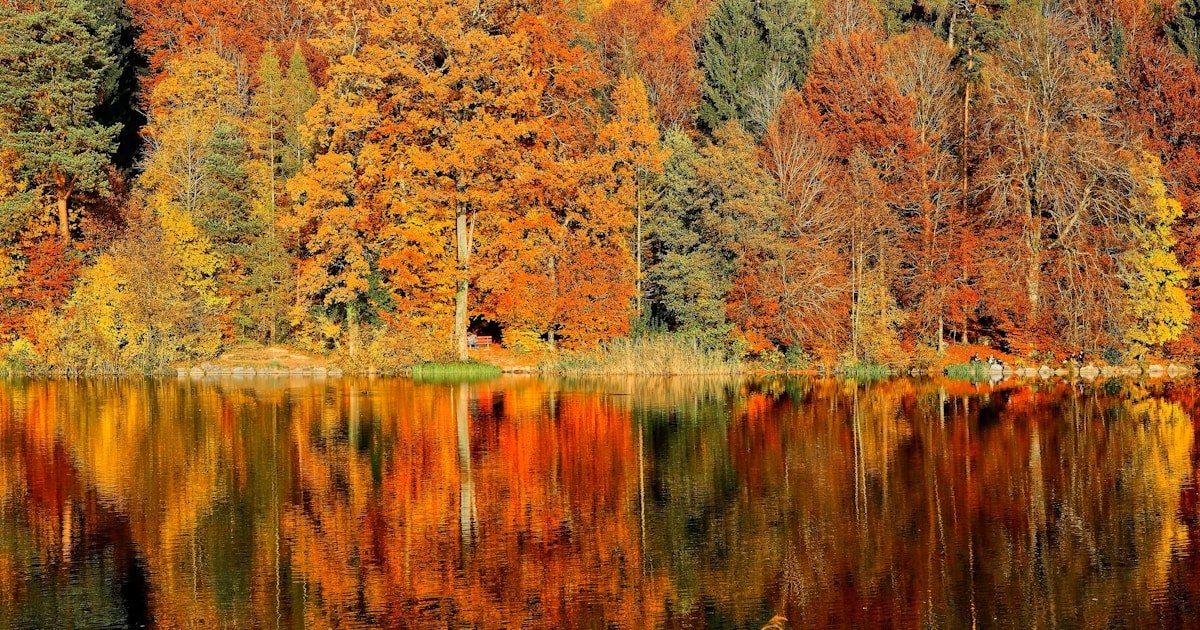 水面に映る秋の紅葉した森の風景