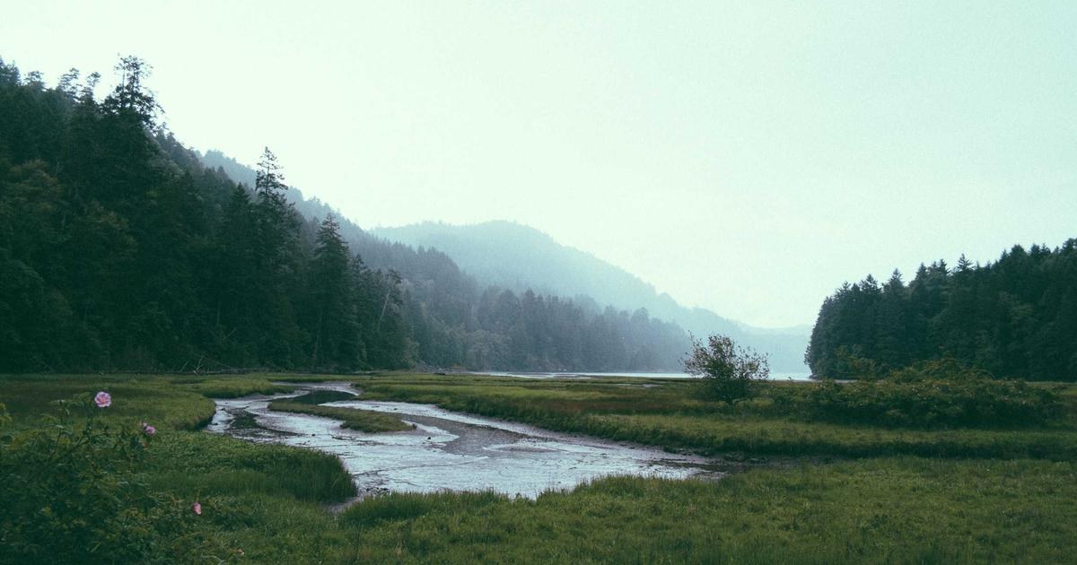 職場のデスクと窓辺の風景