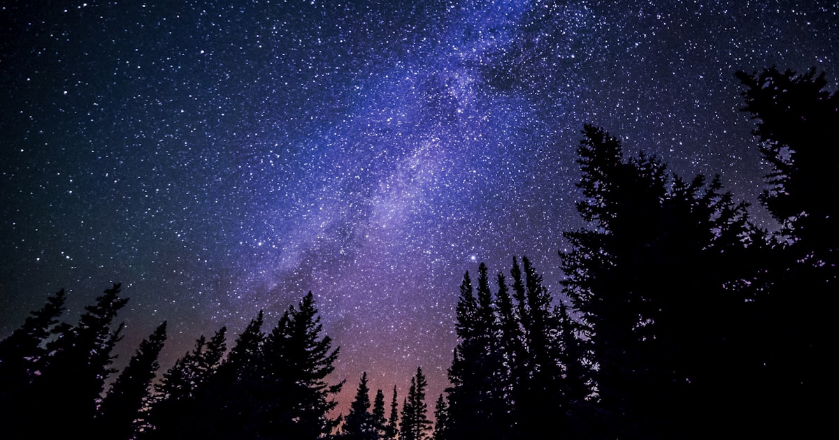 森の上に広がる星空｜自分のキャリアを見つめ直すイメージ