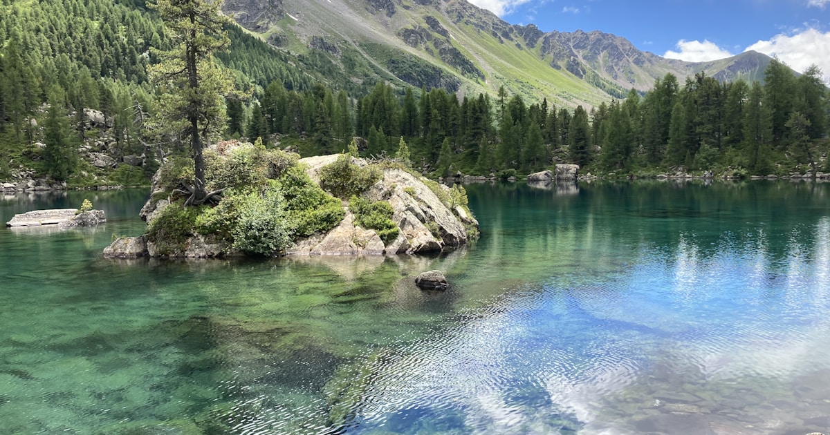 湖と緑の山を望む風景。正社員になる3つのルートを表すイメージ