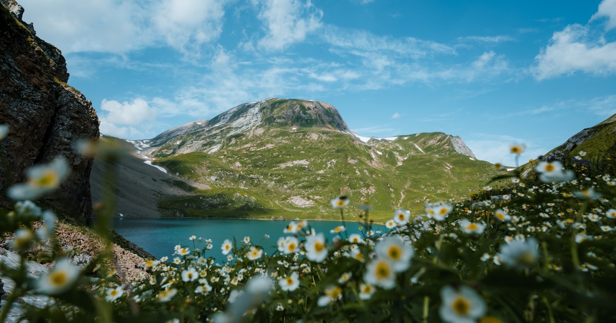 花畑越しに湖と山を望む風景。ミスの原因を切り分けるイメージ