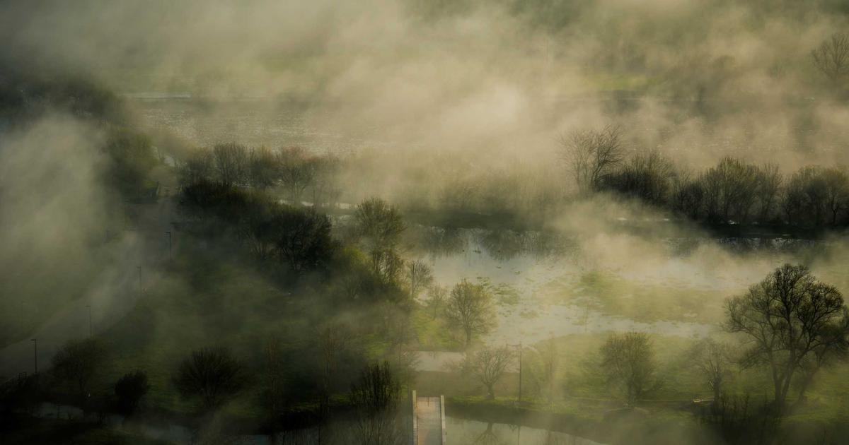 霧のかかった森の風景。視界が晴れないイメージ